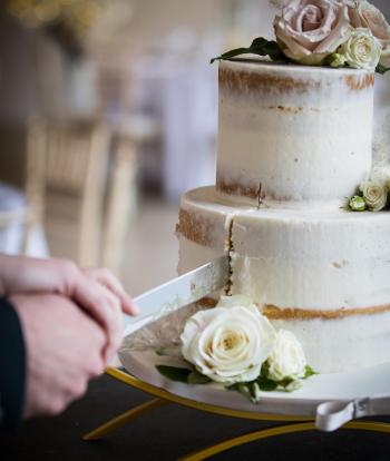 Bride and groom cutting into their wedding cake at the Venue, Sandy Cove Hotel