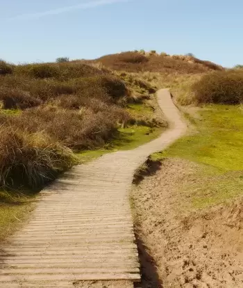 The boardwalk on Braunton Burrows to Crow Point