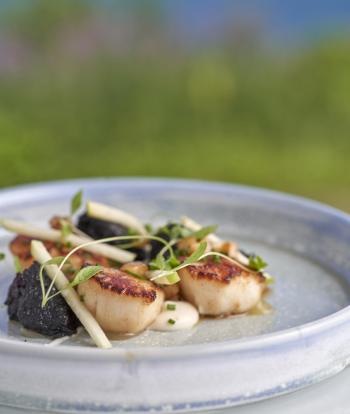 A close up of a dish with Scallops at Sandy Cove Hotel