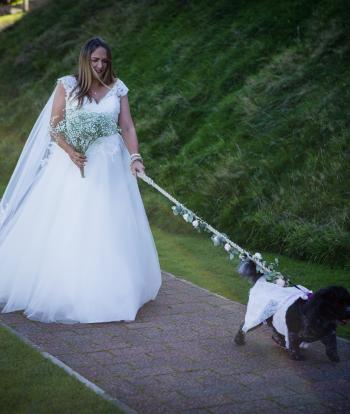 Weddings in Devon | Dog-Friendly Wedding | The Venue