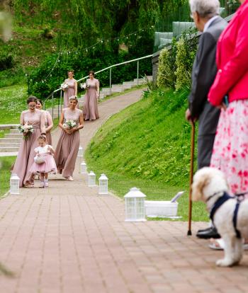 Weddings in Devon | Dog-Friendly Wedding | The Venue