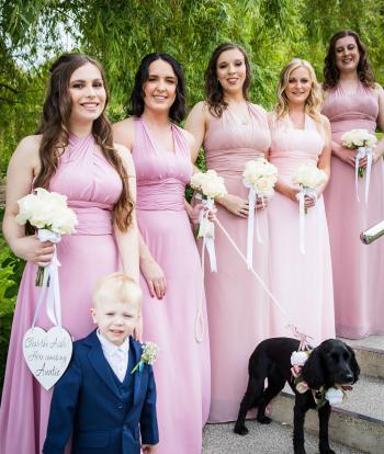 Weddings in Devon | Dog-Friendly Wedding | The Venue