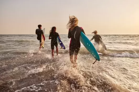 A group of surfers in wetsuits running into the sea at sunset